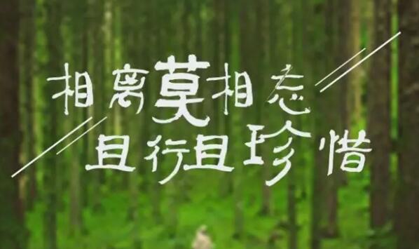 相离莫相忘，你的离开只是要寻找更广阔的天空！