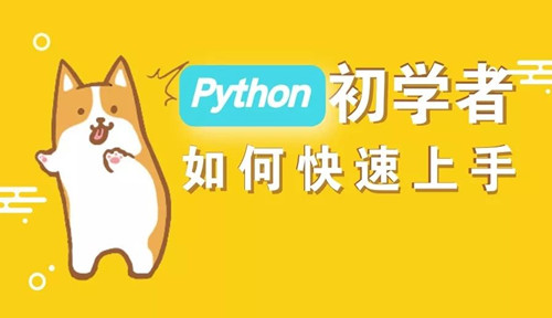 想要学好python如何快速入门
