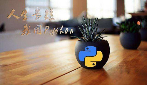 Python为什么会被黑客选中